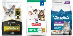 Best Cat Food Brands 2024